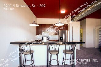 2900 N Downing St in Denver, CO - Building Photo - Building Photo