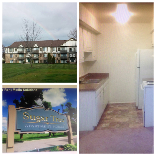 Sugartree Apartments photo'