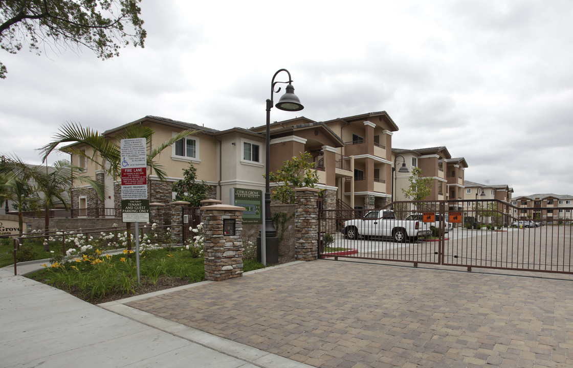 Citrus Grove Apartments in Orange, CA - Building Photo