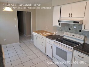 1020 San Salvador Dr in Dunedin, FL - Building Photo - Building Photo