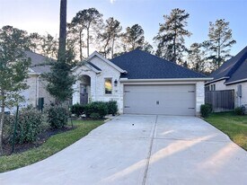 418 Glacier Pass in Montgomery, TX - Building Photo