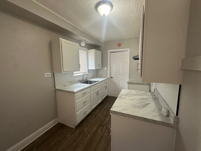 12227 S Throop St in Chicago, IL - Foto de edificio - Building Photo