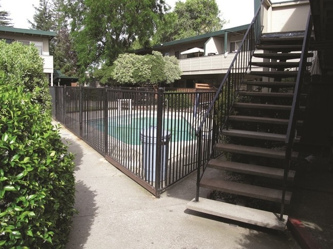 Pine Cone Apartments in Concord, CA - Building Photo - Building Photo