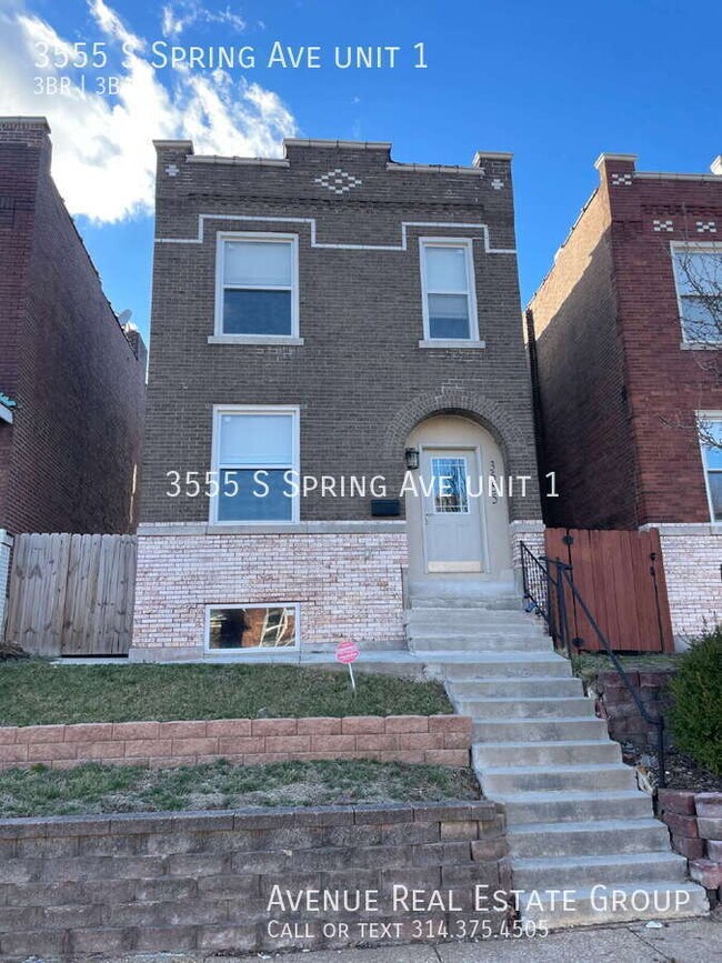 3555 S Spring Ave in St. Louis, MO - Foto de edificio - Building Photo