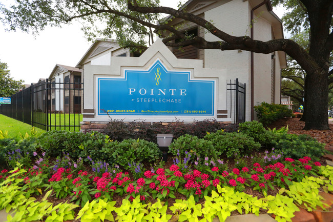 Pointe at Steeplechase in Houston, TX - Foto de edificio - Building Photo