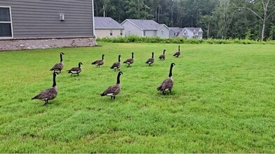 3856 Lockaby Way in Lawrenceville, GA - Building Photo - Building Photo