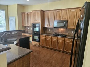 849 Platinum Dr in Fort Mill, SC - Building Photo - Building Photo
