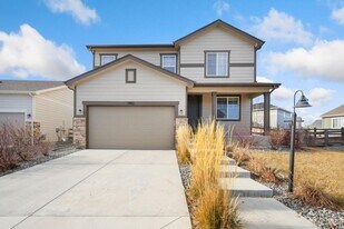 2985 Bridal Veil Falls Ct in Loveland, CO - Building Photo