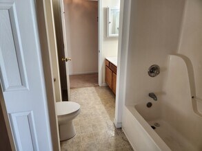 1719 Wood Song Ln in Knoxville, TN - Building Photo - Building Photo