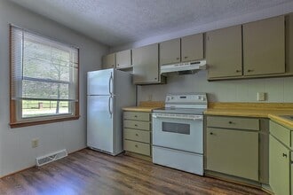 409 Cypress St in Bristol, TN - Building Photo - Building Photo