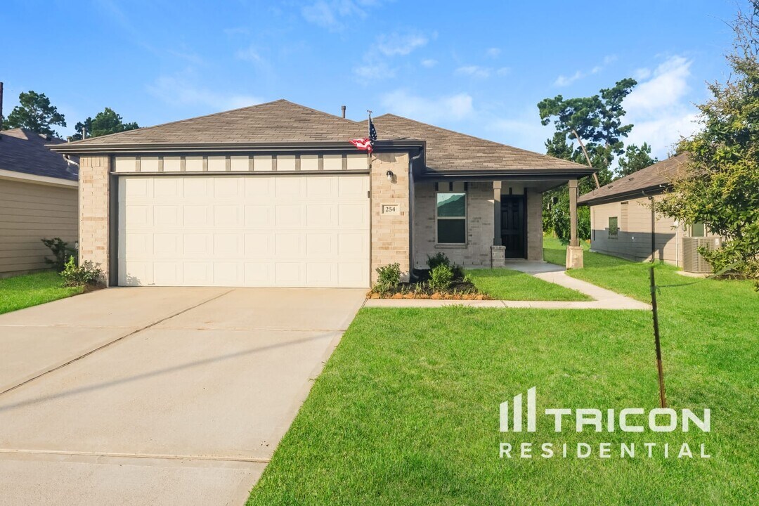 254 Cumberland Forest Dr in Magnolia, TX - Building Photo