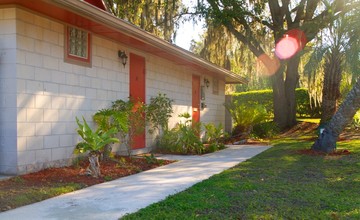 Hammocks at Camelot in Gainesville, FL - Building Photo - Building Photo