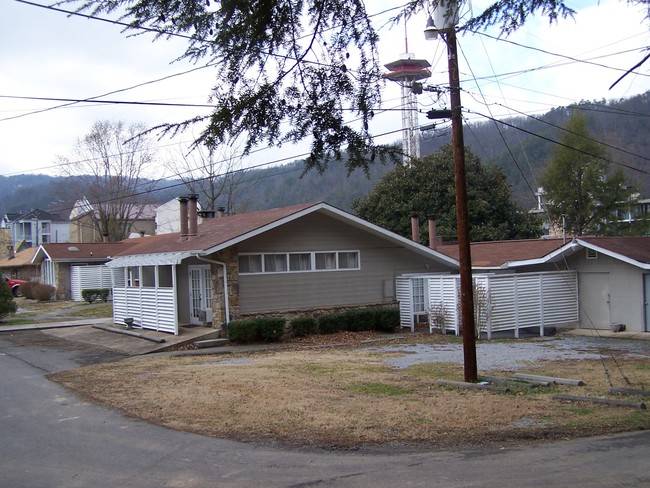 419 Haynes Ln in Gatlinburg, TN - Foto de edificio - Building Photo