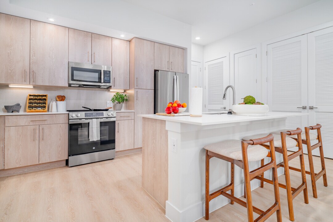 Caroline at Brooks in San Antonio, TX - Foto de edificio