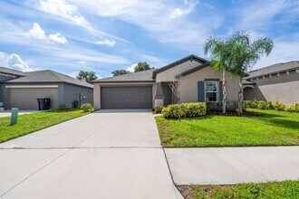 5524 Blue Azure Dr in Wimauma, FL - Building Photo - Building Photo