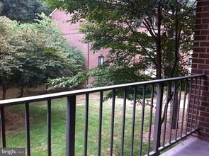 1425 Northgate Square-Unit -1425-11A in Reston, VA - Building Photo - Building Photo