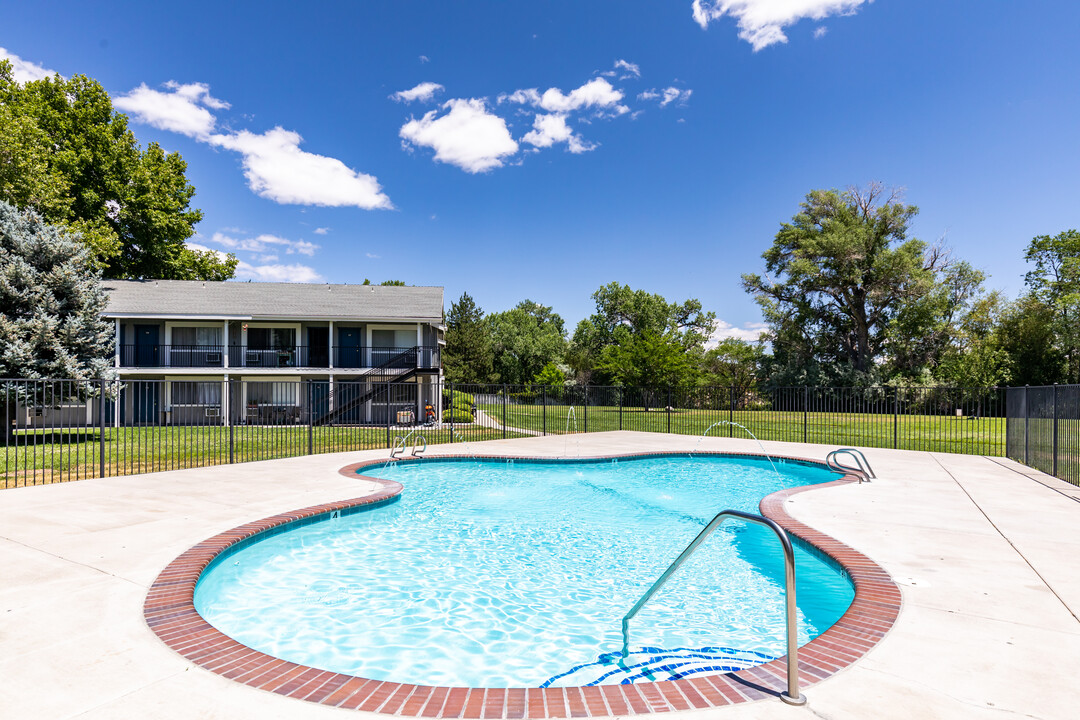 Shoreline Plaza Apartments Photo