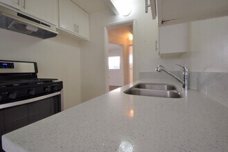 6125 Whitsett Ave in Los Angeles, CA - Building Photo - Building Photo