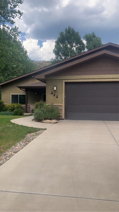 422 Horse Thief Ln in Durango, CO - Building Photo