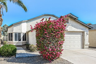 8852 W Michelle Dr in Peoria, AZ - Building Photo