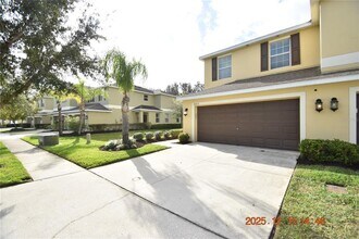 20210 Pond Apple Ln in Tampa, FL - Building Photo - Building Photo