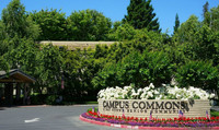 Campus Commons Senior Apartment Homes in Sacramento, CA - Building Photo - Building Photo