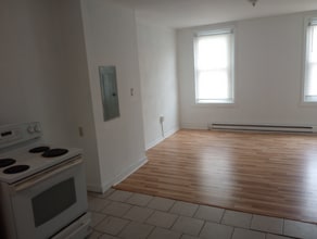 31xx W Euclid Ave in Philadelphia, PA - Building Photo - Building Photo