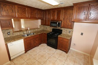 20514 Red Sun Dr in Katy, TX - Building Photo - Building Photo