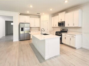 17132 Holly Wl Ave in Wimauma, FL - Building Photo - Building Photo