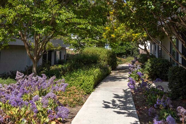 Casa Monterey Apartments in Spring Valley, CA - Foto de edificio - Building Photo