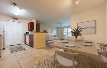 Brandywine Apartments in Tampa, FL - Foto de edificio - Building Photo