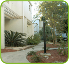 613 SW 75th St in Gainesville, FL - Building Photo