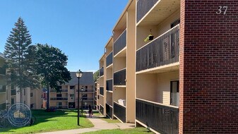 Hill Gardens Condo Association in Burlington, VT - Building Photo