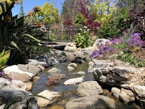 Glenbrook Apartments in Cupertino, CA - Building Photo - Building Photo