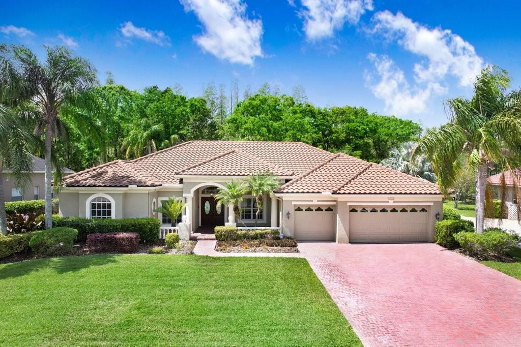 19106 Ave Bayonnes in Lutz, FL - Building Photo