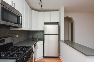2425 N Kedzie Blvd in Chicago, IL - Building Photo - Building Photo
