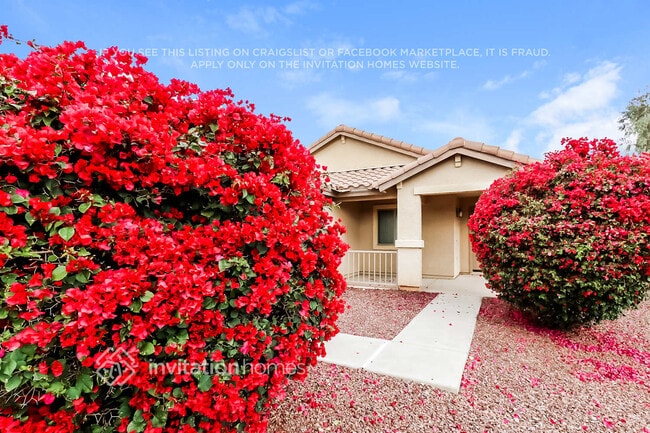 25586 W St Catherine Ave in Buckeye, AZ - Foto de edificio - Building Photo