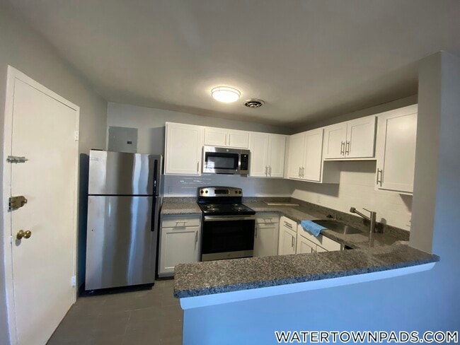 14 Riverside St, Unit 3 in Watertown, MA - Building Photo - Building Photo