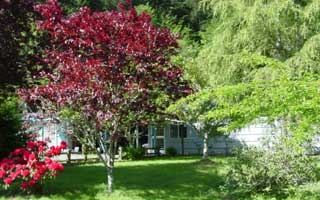 16035 Highway 101 in Klamath, CA - Foto de edificio - Building Photo