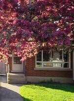 443 Vine St in St Catharines, ON - Building Photo