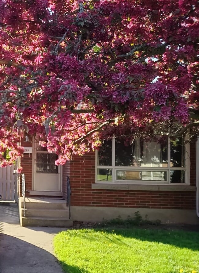 property at 443 Vine St