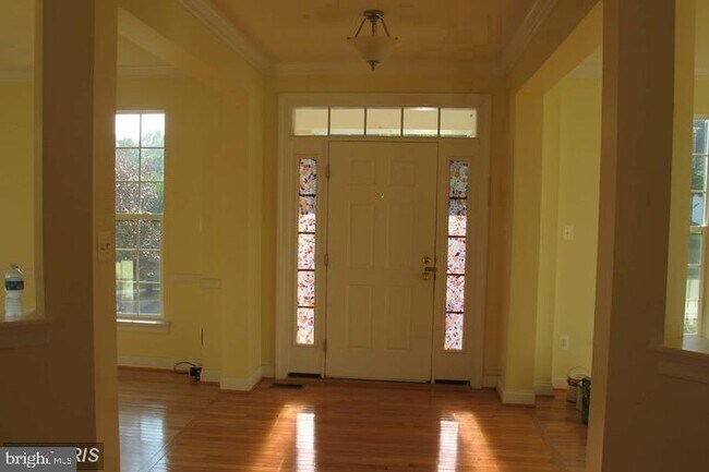 12338 Cherry Branch Dr in Clarksburg, MD - Building Photo - Building Photo