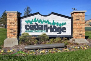 Cedar Ridge Apartments in Indianapolis, IN - Building Photo