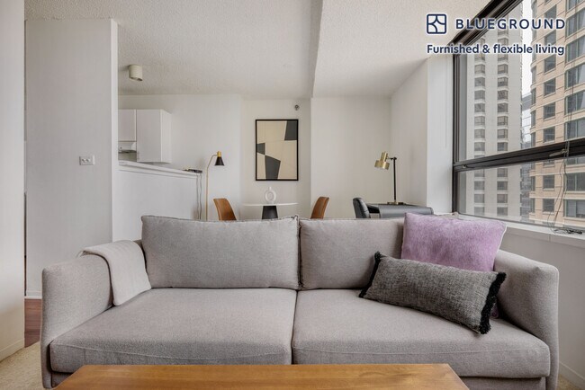 445 E Ohio St in Chicago, IL - Building Photo - Building Photo