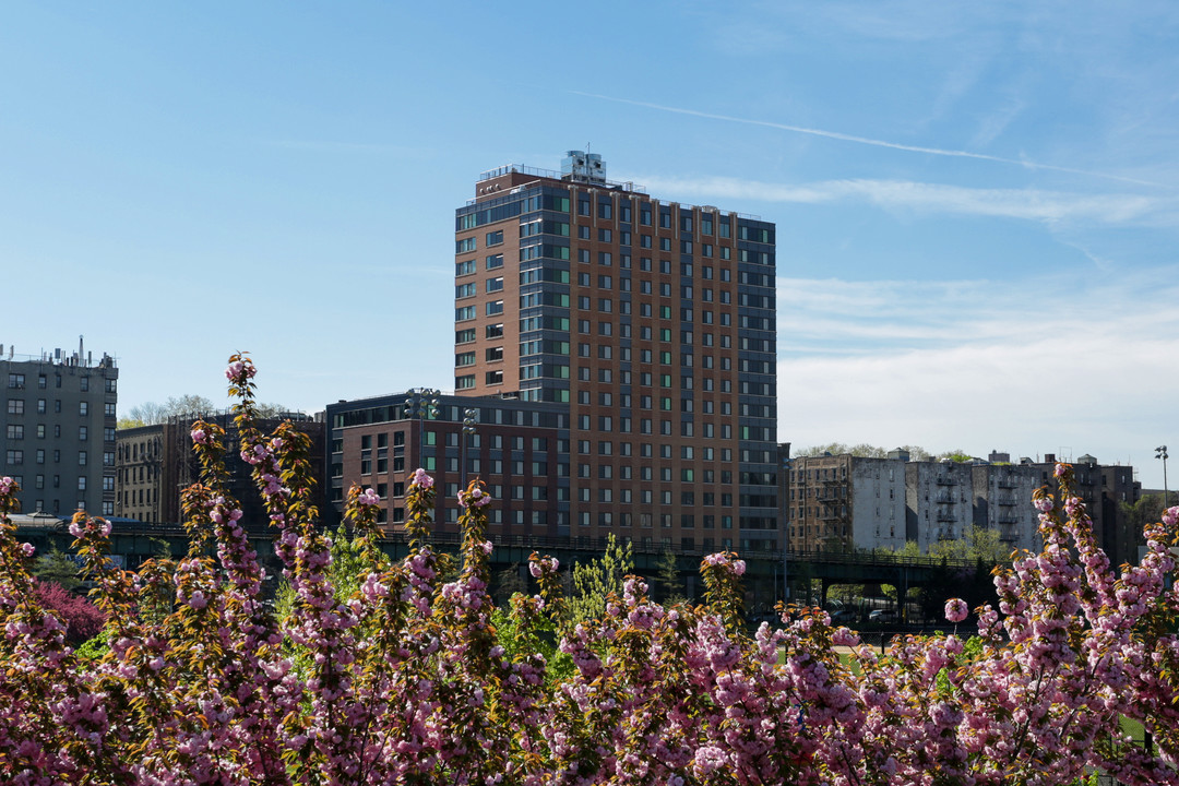 810 River Ave in Bronx, NY - Building Photo