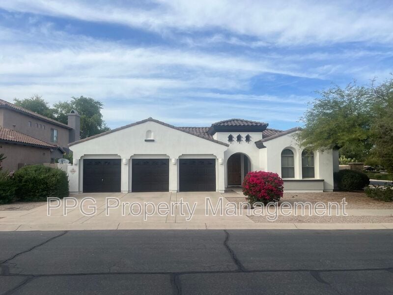 696 W Mesquite Ln in Litchfield Park, AZ - Building Photo