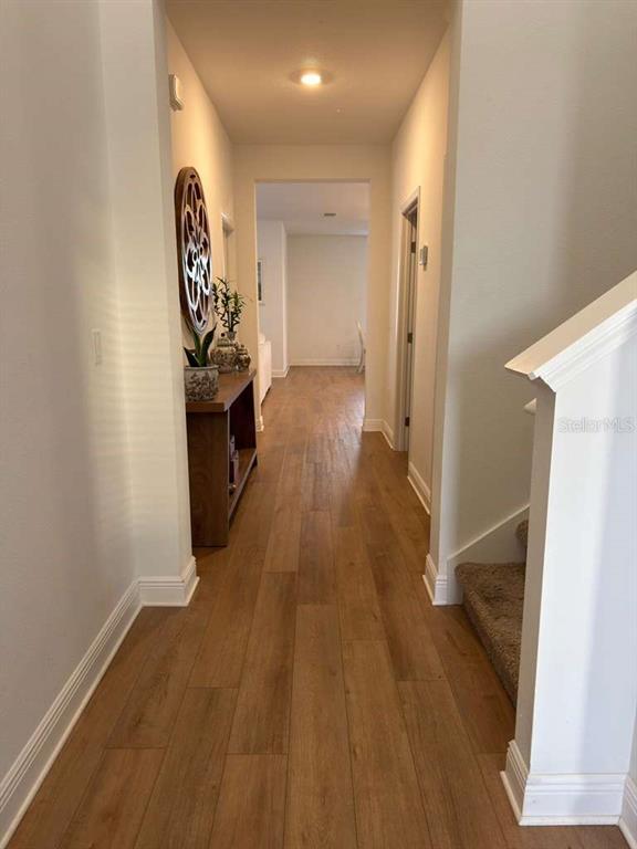 1656 Pyramid Hl St in Minneola, FL - Building Photo - Building Photo