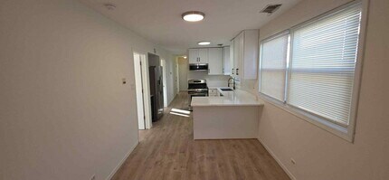 445 W 37th St, Unit 2 in Chicago, IL - Building Photo - Building Photo