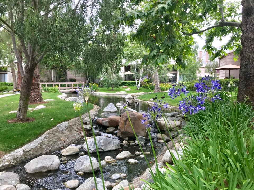 26701 Quail Creek-Unit -26 in Aliso Viejo, CA - Building Photo