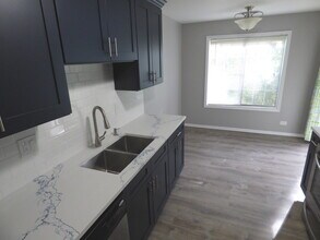 1333 E Evergreen Dr in Palatine, IL - Building Photo - Building Photo